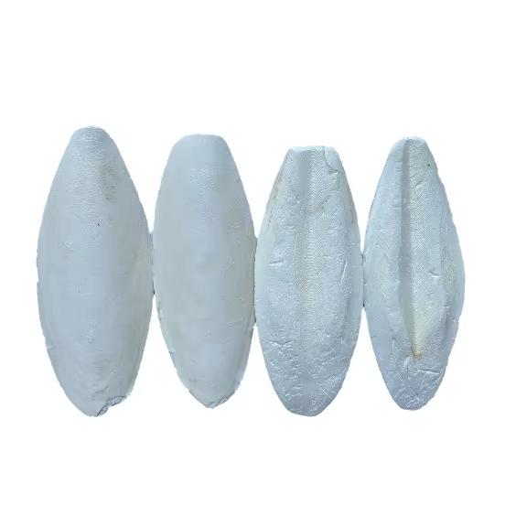 Cuttlefish Bone Trimmed