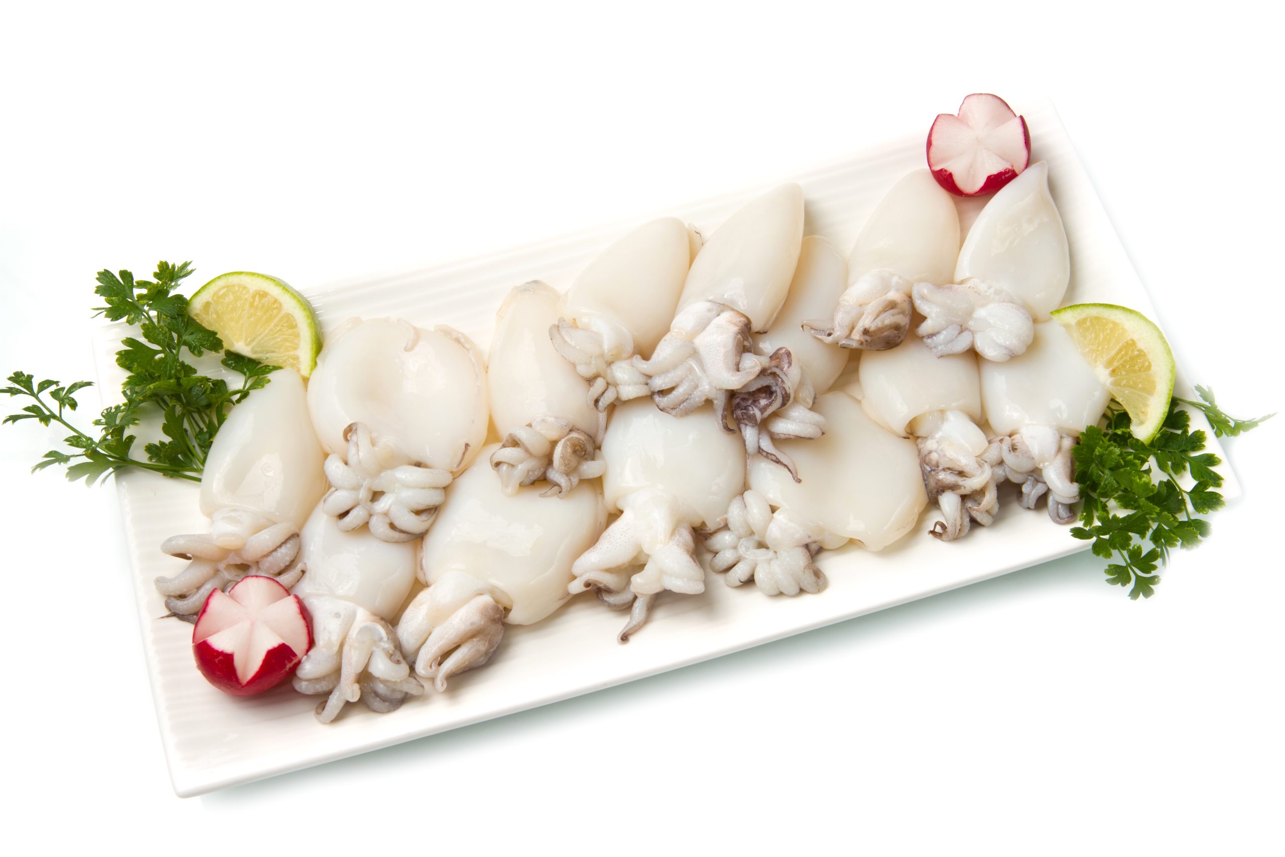 Cuttlefish